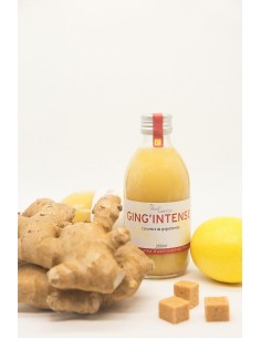 Jus Tonique Gingembre 50 Cl – Satoriz Grenoble